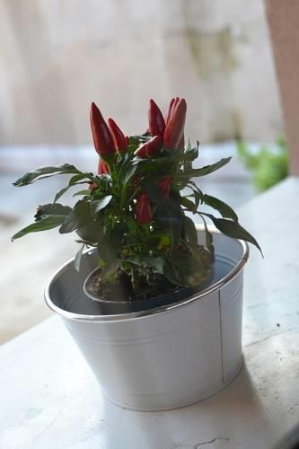 Мини-отель La Salvia e Il Lampone