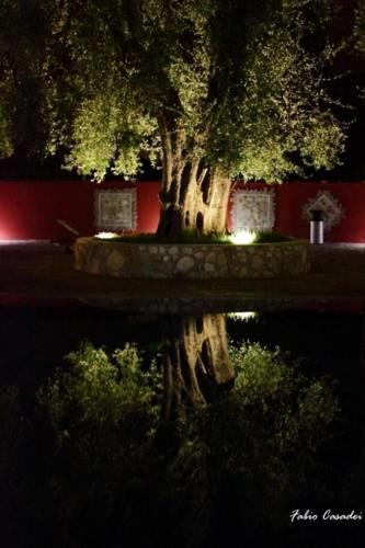 Отель Hotel Resort Poggio degli Ulivi