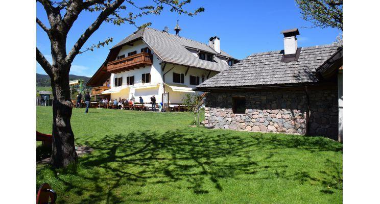 Отель Hotel Walter