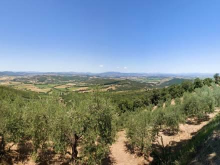Отель Holiday Home Quercia Piegaro