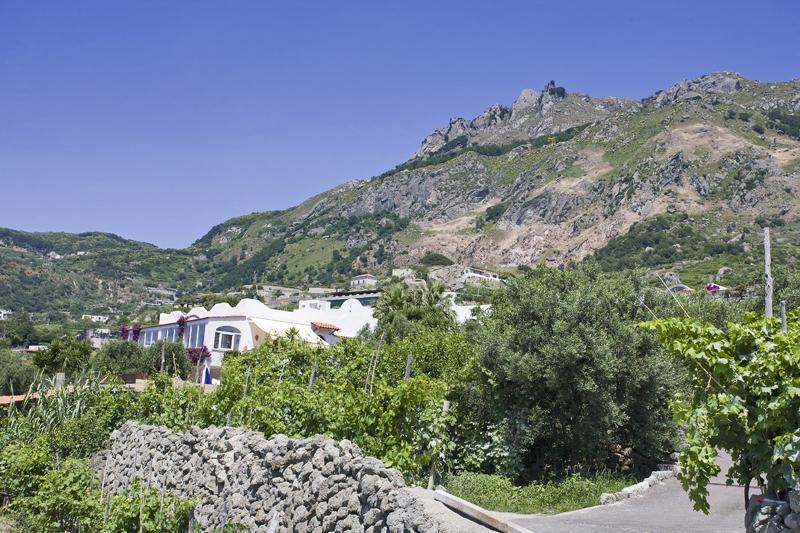Отель Agriturismo La Pergola