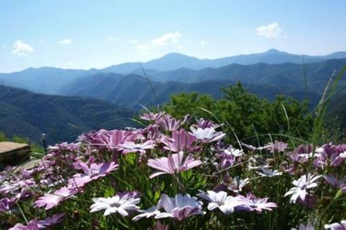 Апартаменты Holiday Home Il Riccio Pigna