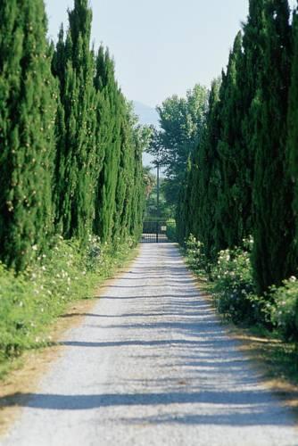 Отель Fattoria di Migliarino