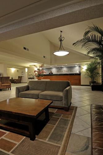 Отель Maple Tree Inn