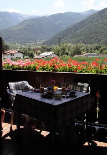 Мини-отель Pension Tannenhof