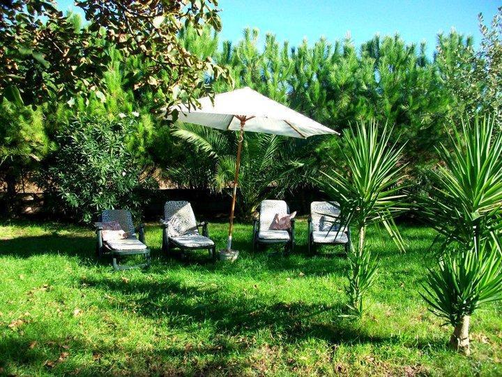 Мини-отель Bed & Breakfast Il Rosmarino