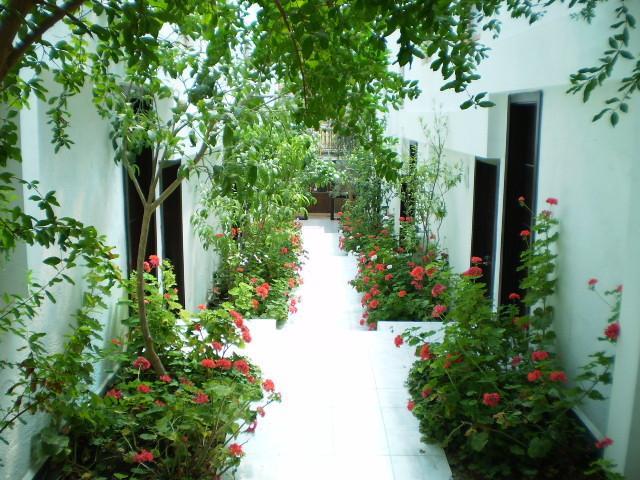 Отель Family Hotel Belvedere