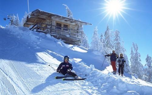 Гостевой дом Gasthof Hüttwirt