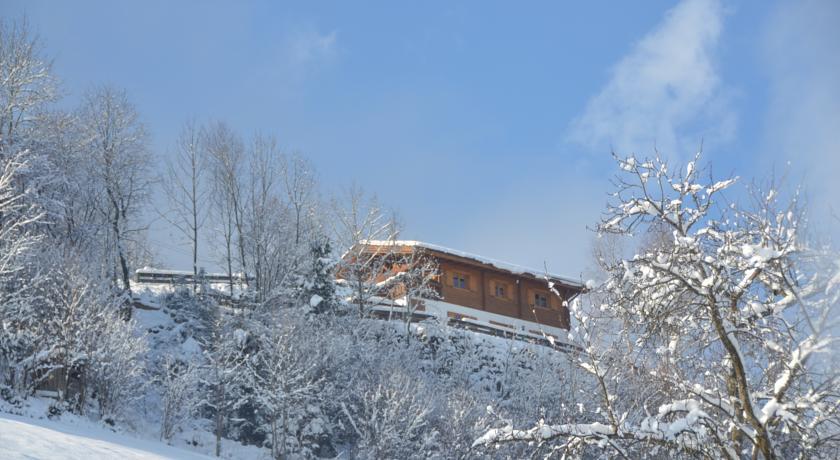 Апартаменты Berghütte Alpenrose