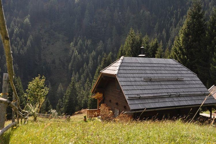 Отель Apartment Almhutte Im Walde Kolbnitzteuchl