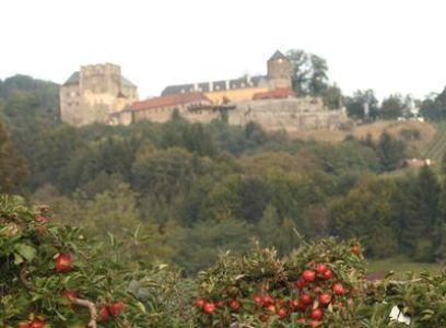 Апартаменты Ferienhaus Franz Kleindienst