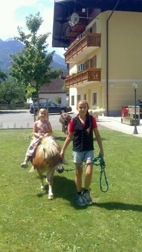 Гостевой дом Alpen Adria Gasthof Rausch