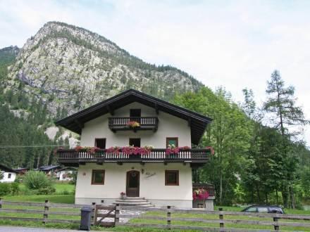 Апартаменты Apartment Haus Exenbach Lofer