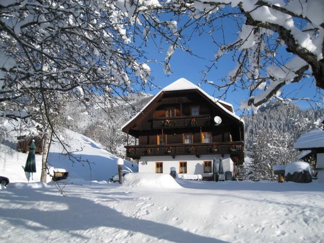 Апартаменты Ferienwohnung Lahnerhof