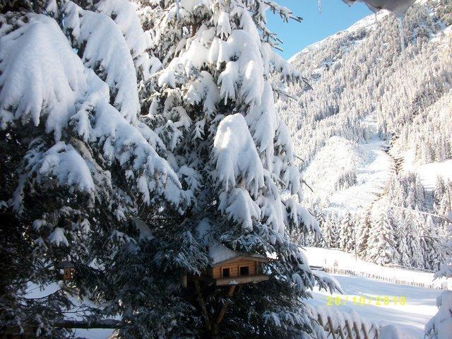 Апартаменты Apartment Fernerkogel