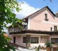 Гостевой дом Landgasthof Zur Blauen Traube