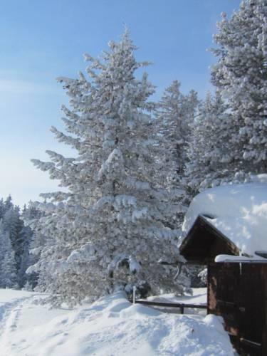 Гостевой дом Wirtshaus zum Wiesejaggl