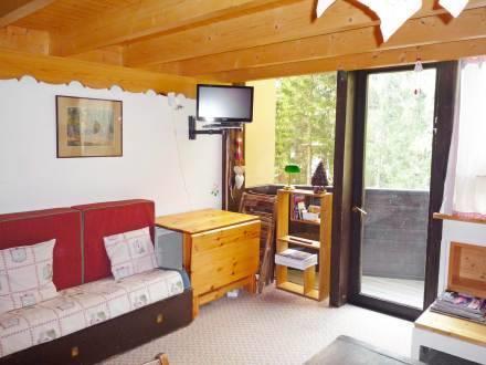 Апартаменты Apartment Grand Roc II Argentiere