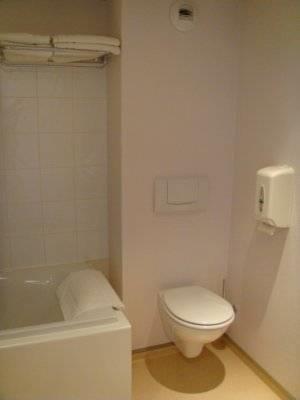 Отель Artemis Hotel
