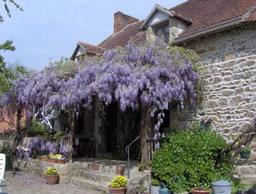 Отель La Charvière