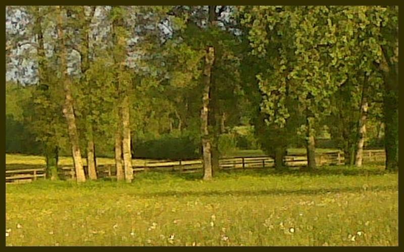 Мини-отель Grand Mainguet
