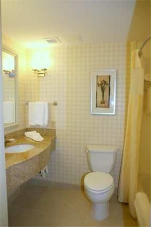 Отель Hilton Garden Inn Harrisburg East
