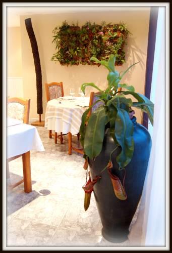 Отель Osteria A Stella