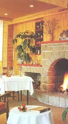 Отель Logis Du Puy Ferrand