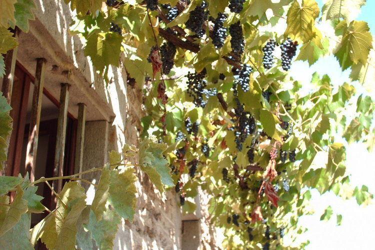 Апартаменты Holiday Home Rougeac Villeneuve D Allier