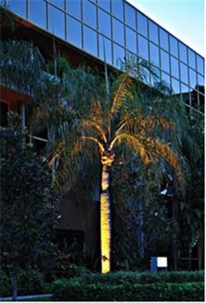 Отель Holiday Inn Hotel & Suites Sawgrass Mills
