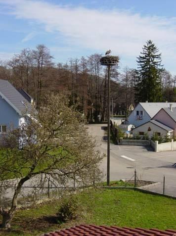 Отель Hôtel Au Vieux Tilleul