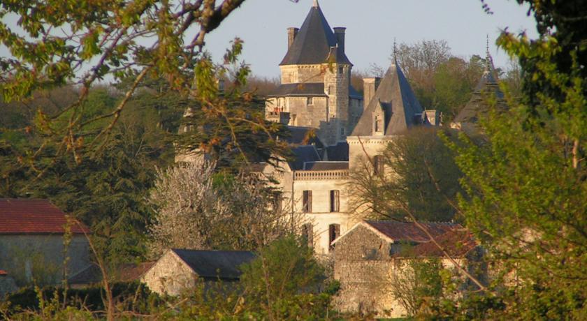 Мини-отель Demeure Château de Ternay
