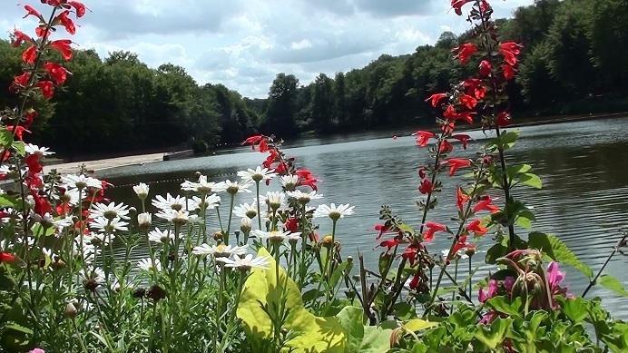 Отель Ibis les Etangs des Moines