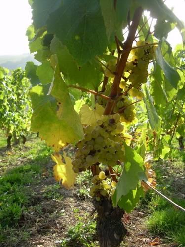 Апартаменты Le Clos des Monts