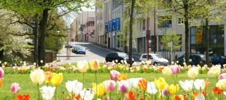 Отель Deltour Hôtel Rodez Bourran