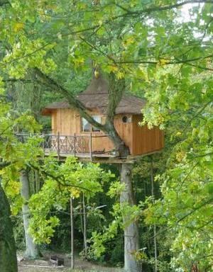 Гостевой дом Le Nid dans l'Arbre