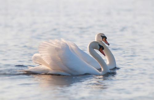 Апартаменты Gîte Les Vents du Large L'Aigrette