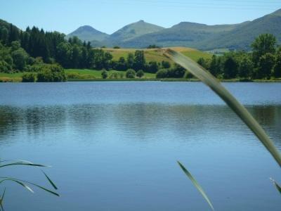 Апартаменты Naturessime Eco Village & Spa