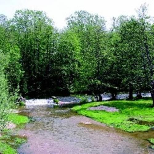 Мини-отель Le Moulin de Poilly