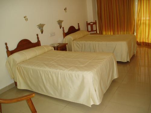 Отель Hotel Manzanares