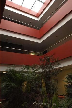 Отель Hotel S. Pedro
