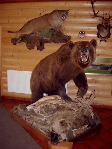 Гостевой дом Pension Grizzly