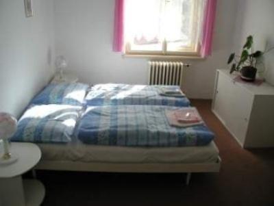 Отель Hotel Šrejber