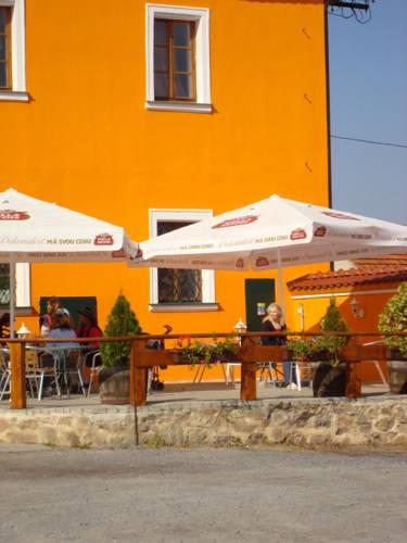 Отель Hotel Vyzlovka