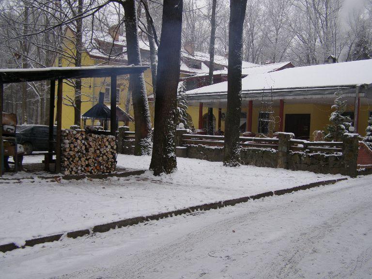 Гостиница Лисова Перлына