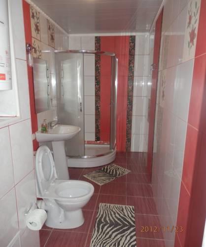 Гостиница Domino Hotel