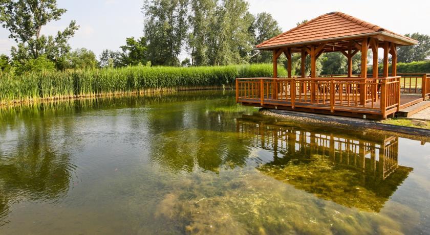 Отель Vis Vitalis Medical Wellness Hotel