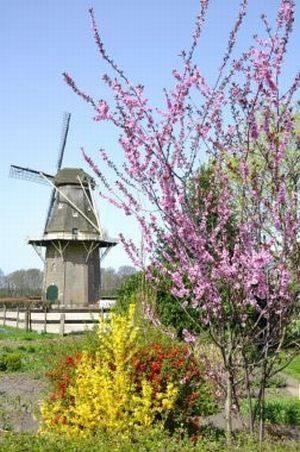 Отель Herberg de Klomp