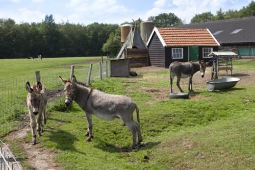 Отель BoerenBed Lange Weide
