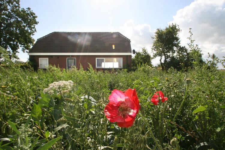 Апартаменты Holiday Home Dollart Sud Finsterwolde